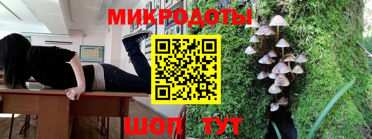 Псилоцибиновые грибы Psilocybine cubensis  Галлюциногенные грибы MAGIC MUSHROOMS  Вход с VPN  Малгобек 