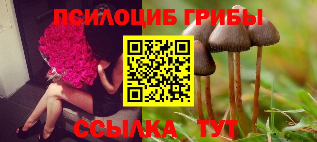 Псилоцибиновые грибы ЛСД Малгобек