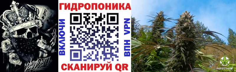 Бошки марихуана Ganja  сколько стоит  Малгобек 