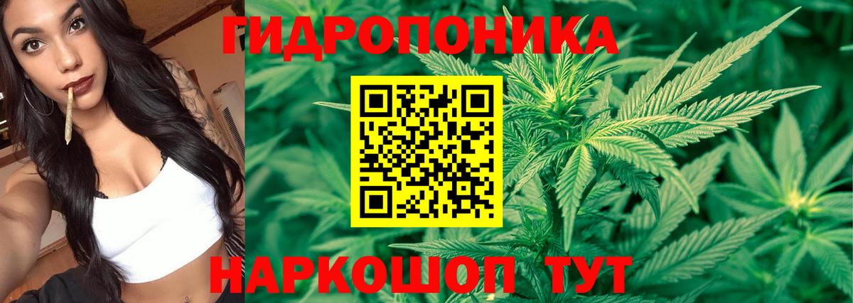 Бошки марихуана индика  Конопля сатива  МАРИХУАНА Bruce Banner  Малгобек  МАРИХУАНА гибрид  Вход с VPN 